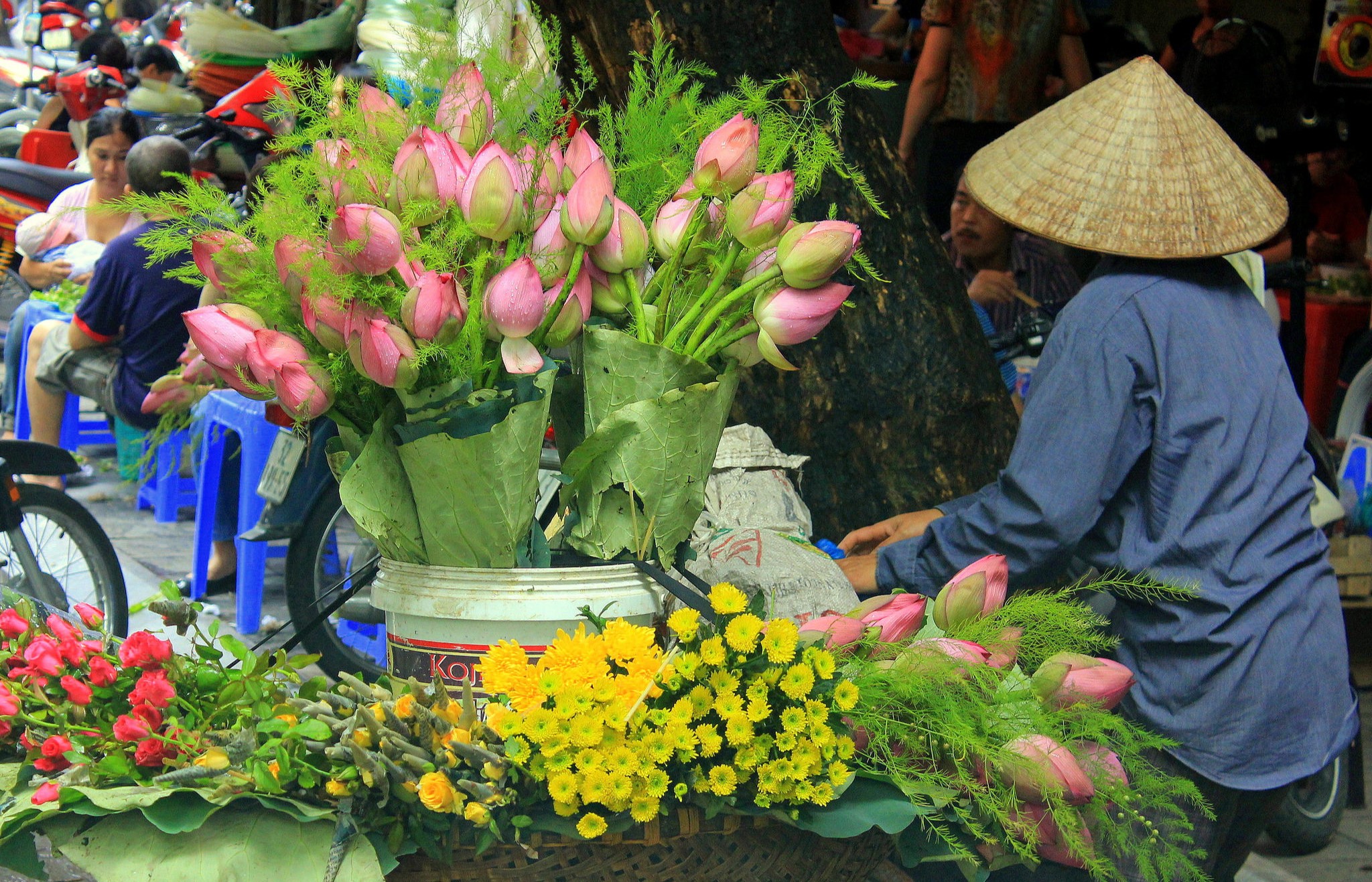 Hà Nội Street Life